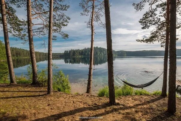 Озеро белоелампи карелия. Озеро глубокое фото. Долгое (озеро, белоруссия). Озеро глубокое белоруссия. Озеро долгое витебская область.
