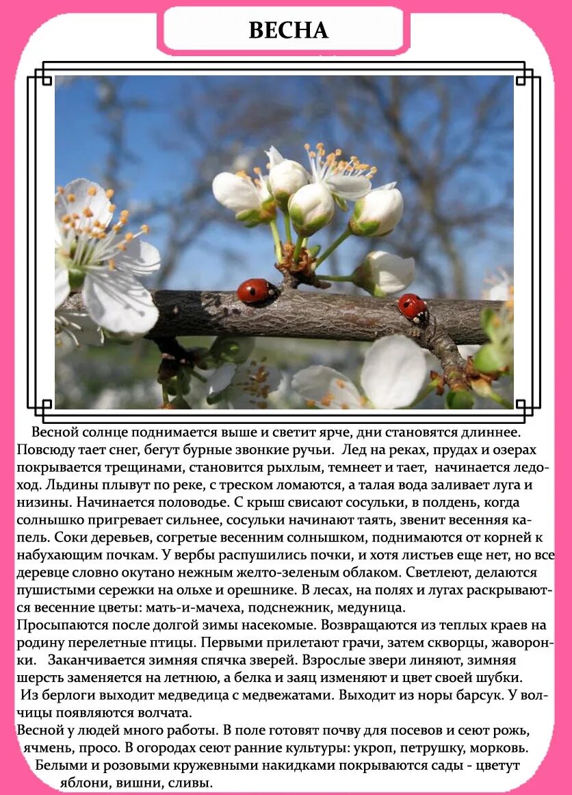 Рассказ о весне. Описание весны. Рассказ о весенней природе. Доклад о весне. Рассказы о весне 2 класс читать