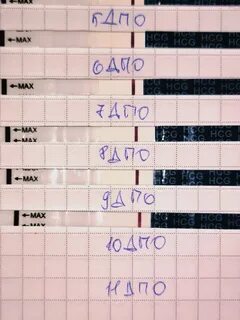 Кто забеременел после овуляции форум