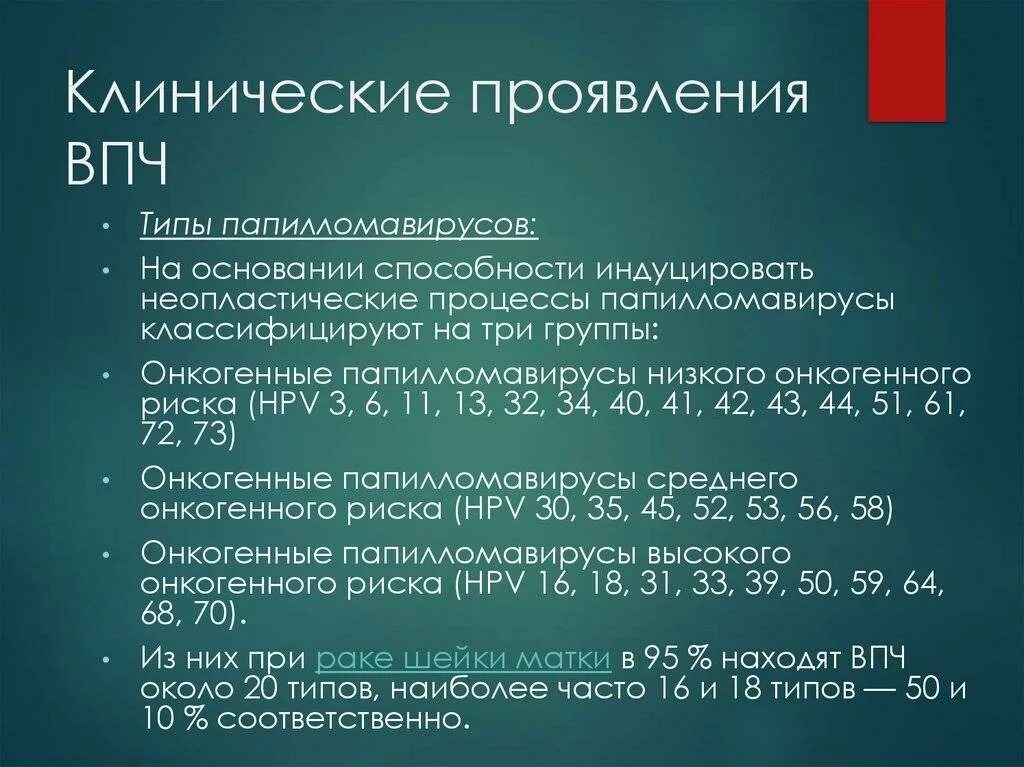 ВПЧ высокого онкогенного риска. Вирус папилломы человека высокого онкогенного риска. Типы ВПЧ высокого онкогенного риска. Типы ВПЧ высокого онкогенного риска у женщин.