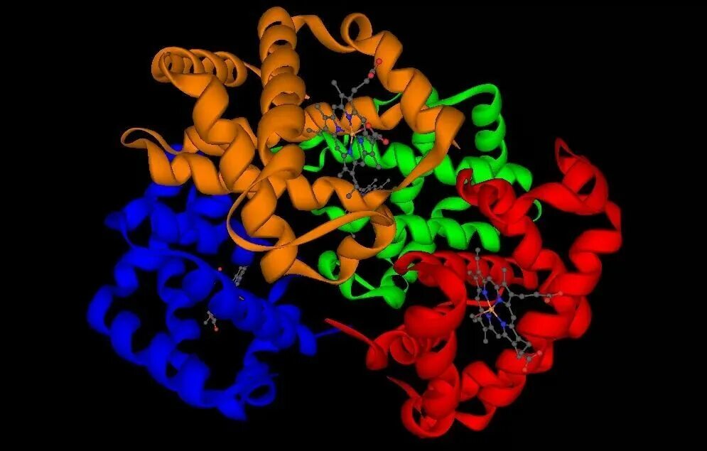Молекула белка имеет. Protein 3d structure. белки протеины структура. строение белка протеин. белки микробиология.
