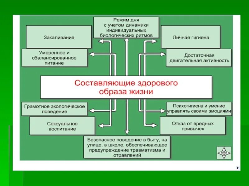 Тема по обж здоровье 8 класс. Составляющие здорового образа жизни ОБЖ 9 класс. Здоровый образ жизни схема 9 класс ОБЖ. ЗОЖ И его составляющие ОБЖ. Понятие о здоровом образе жизни ОБЖ.