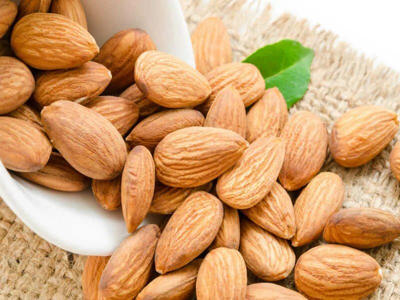 Миндаль горький на латинском. Bitter almond. Миндаль в скорлупе. Горький миндаль. Белый орех.