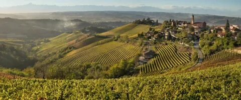 Vinery