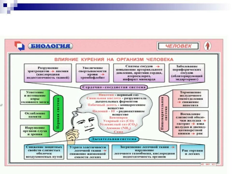 Влияние курения на организм человека. Воздействие табакокурения на организм человека. Влияние табакокурения на организм человека. Влияние курения на системы органов таблица.