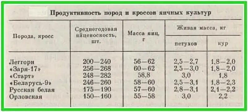 Продуктивность яиц
