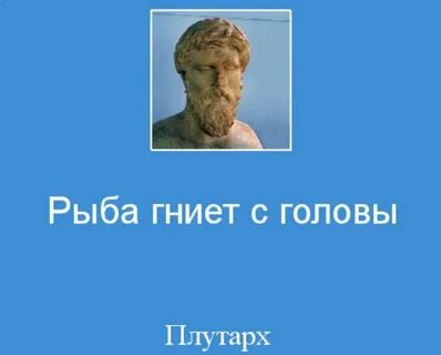 Ее с головой в