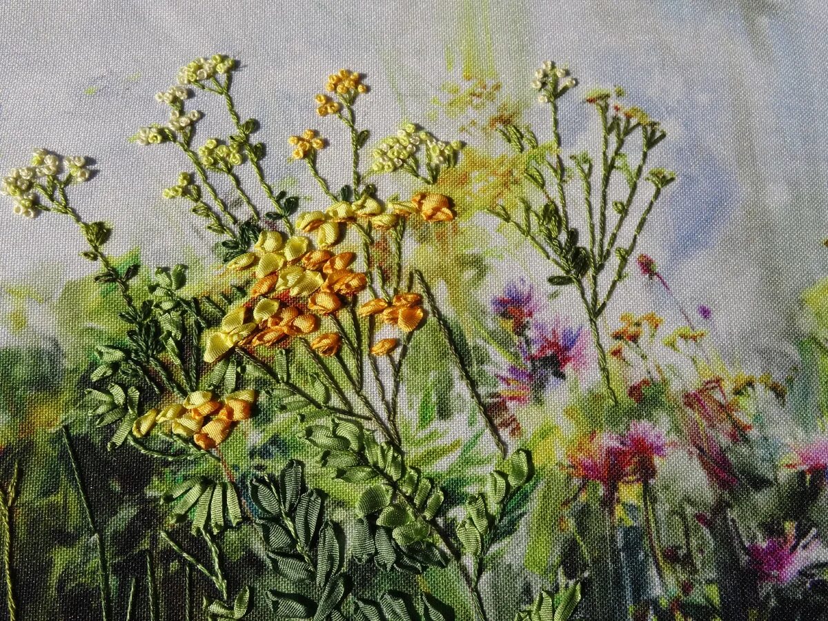 Лето разнотравье тимофеевка. Разнотравье запятых. Разнотравье запятых. Мелкостебельные разнотравье. Разнотравье семена.