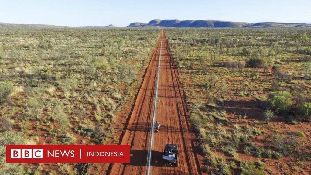 Почему в австралии. Забор динго в австралии. великий забор австралии. собачий забор в австралии.
