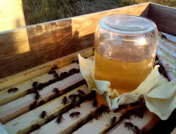 Весенняя подкормка пчел. Подкормка пчел весной. Кормушки медовые для пчел. Подкормка пчел сахарным сиропом. Весенняя подкормка пчел сиропом
