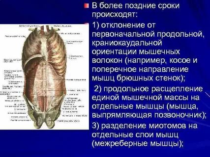 Отклонение от первоначального