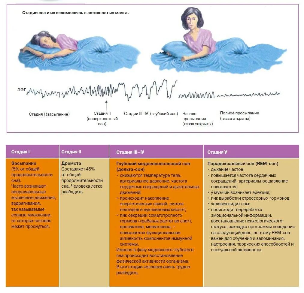 Фазы сна время таблица. Фазы сна. Фазы сна для пробуждения. Продолжительность фаз сна. Сон этапы по времени.