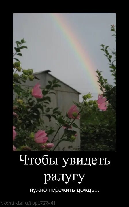 Увидеть радугу нужно пережить. Чтобы увидеть радугу надо пережить дождь картинки. Чтобы увидеть радугу надо пережить. Чтобы увидеть радугу надо пережить дождь статус. Хочешь увидеть радугу надо пережить.