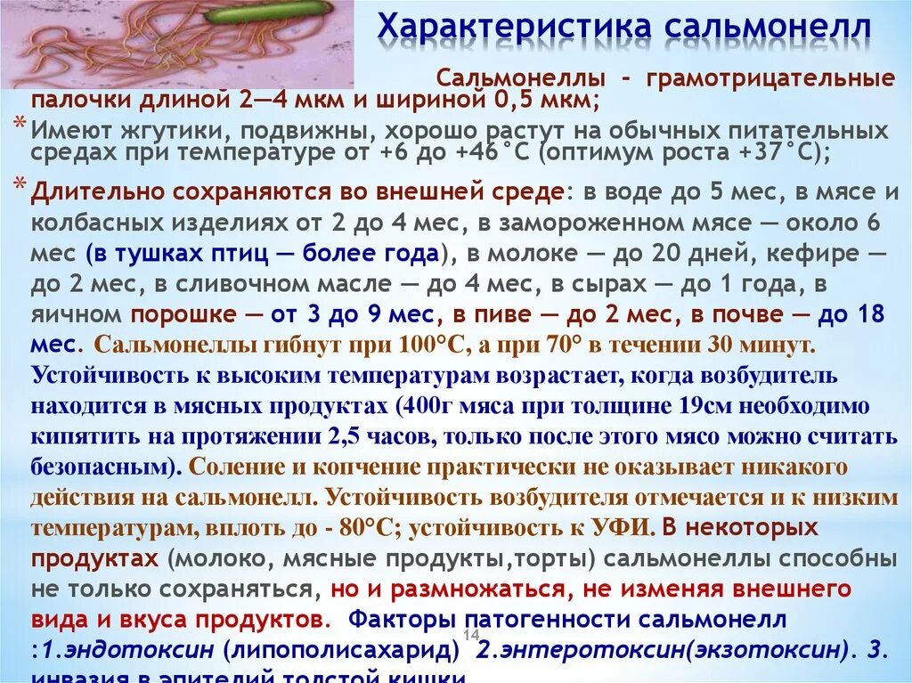 Сальмонелла характеристика. Сальмонелла характеристика возбудителя. Особенности сальмонелл. Сальмонеллез характеристика. Фактором передачи сальмонеллеза является