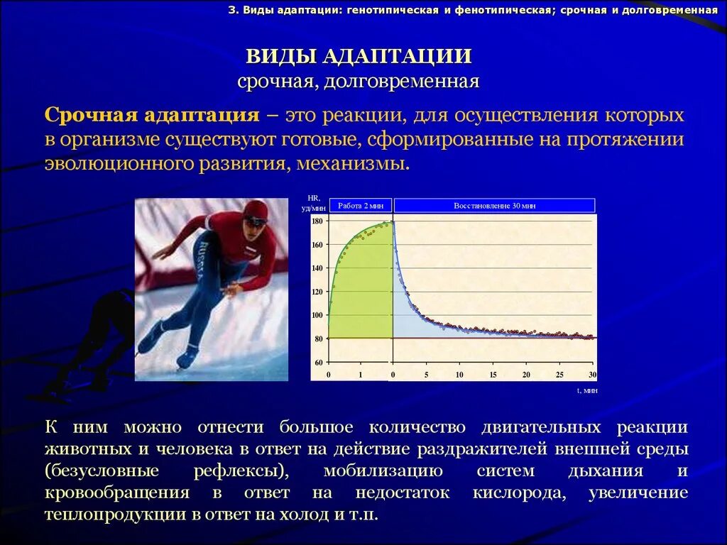 Период активности когда уровень физиологических функций высок. Адаптация организма к физическим нагрузкам. Срочная адаптация к физическим нагрузкам. Срочная и долговременная адаптация физиология. Адаптация тела к физическим нагрузкам.