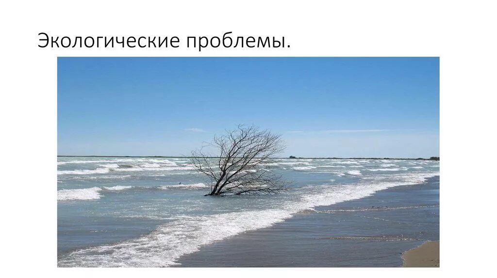 Основными экологическими проблемами озера балхаш. Балхаш экологические проблемы. источники загрязнения озера балхаш. проблемы балхаша на здоровье.