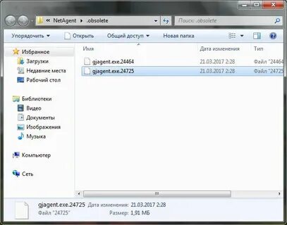 Net agent