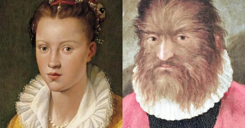 Петрус гонсалес. Петрус гонсалвус. Петрус гонсалвус портрет. Петрус гонсалвус портрет. Петрус гонсалвус портрет.