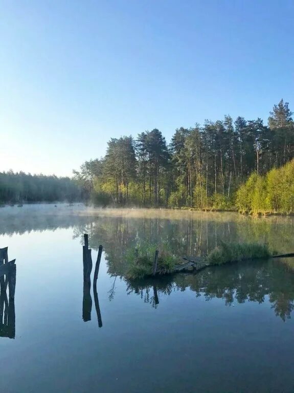 селькин пруд орловская область