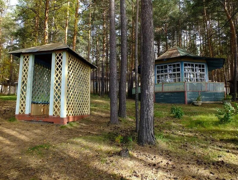 Город лесной свердловская область дом культуры. Пионерский лагерь юность нижний тагил. Юность свердловская область. Юность детский лагерь екатеринбург. Лагерь юность верхняя сысерть.