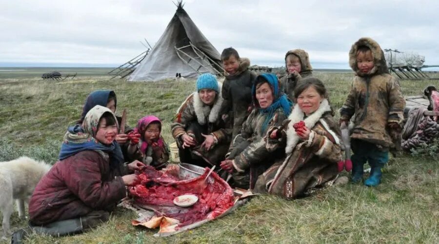 Якутская строганина. Красноярский край национальная кухня эвенков. Национальная кухня хантов и манси. Сагудай таймыр. Питание народов севера.
