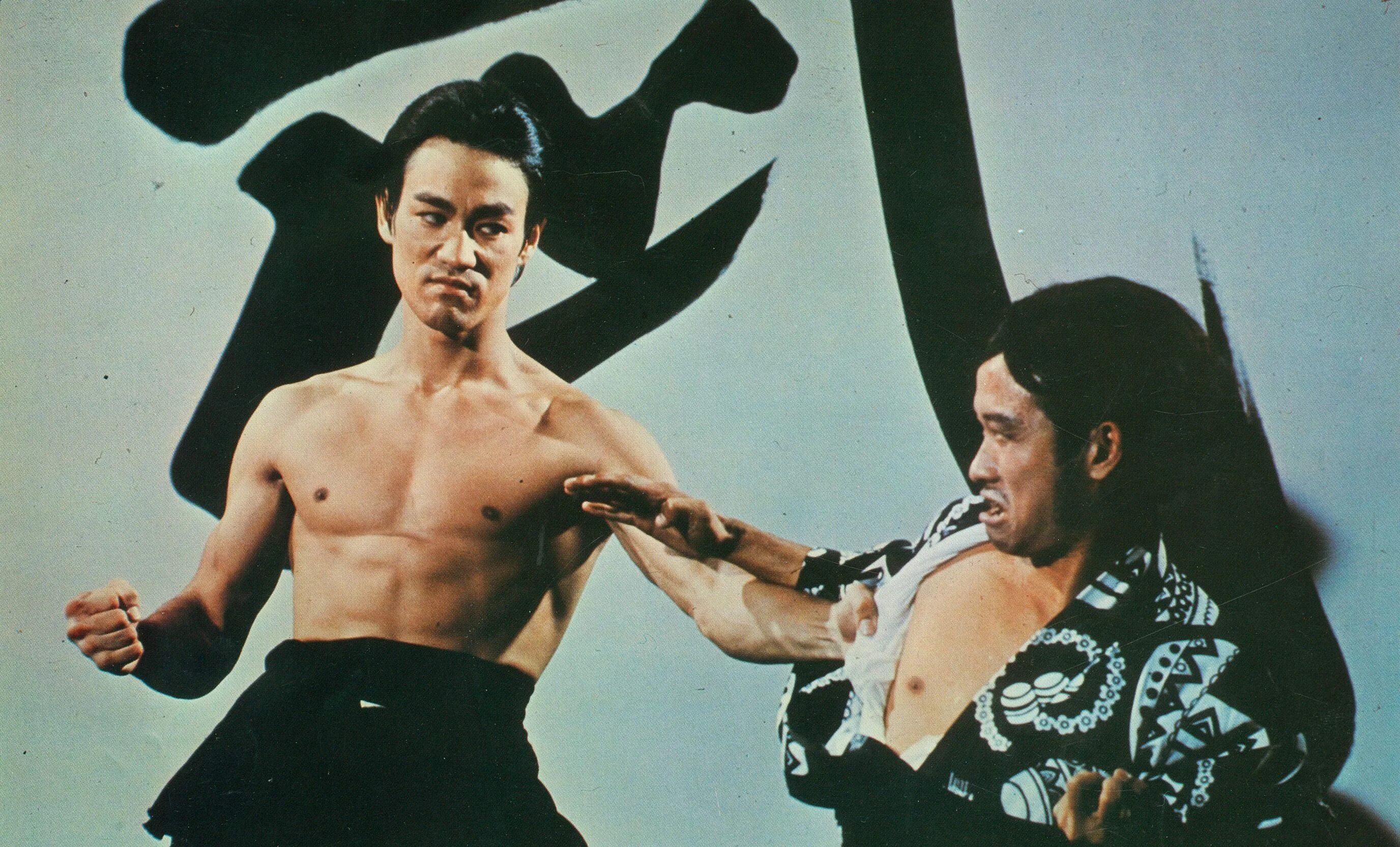 Джет ли кунг фу. Брюс ли боевые искусства. Торренты про боевые искусства. Легенда о брюсе ли сериал. Торренты про боевые искусства.