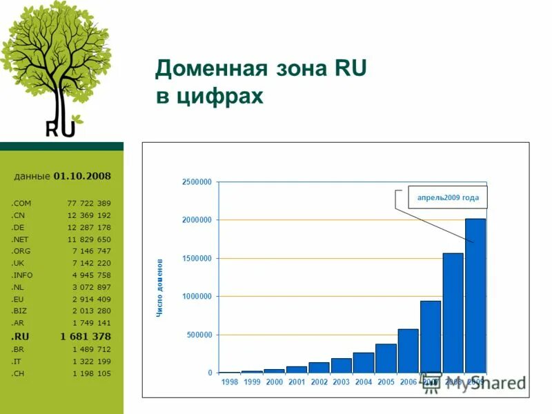 доменная зона net