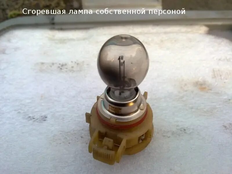 Лампочки рено логан противотуманной фары. Лампочки стоят в противотуманных фарах на рено логан 2. лампа противотуманной фары renault logan. лампа птф рено логан 1. лампа противотуманки рено логан 2011.