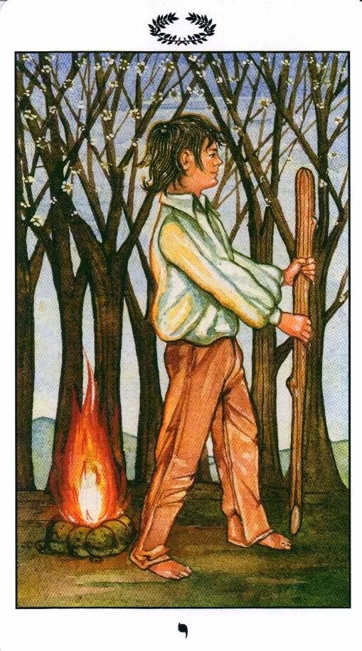 Паж жезлов таро человек. Паж посохов таро. паж жезлов уэйт. паж жезлов таро уэйта. мистическое таро успенского галерея.