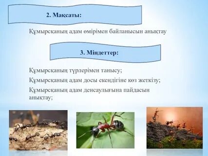 Әдемі жетілген әйелдер, жеке эротикалық фотосуреттер