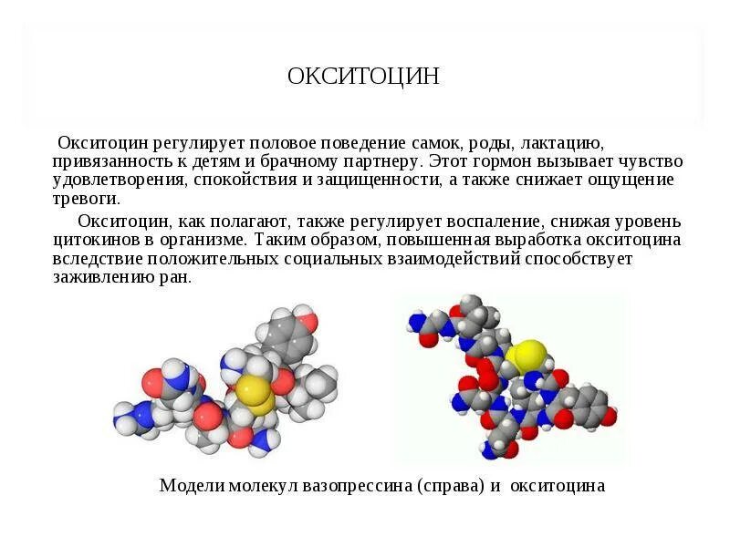 Окситоцин это гормон чего. Окситоцин формула химическая. строение окситоцина формула. окситоцин гормон строение. выработка окситоцина в организме.