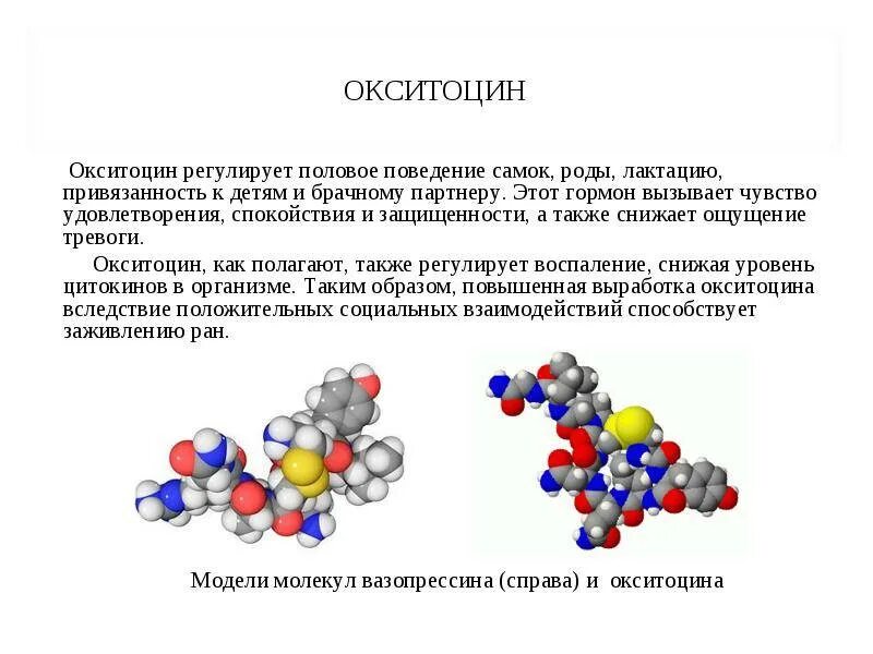 Выработка окситоцина. Окситоцин формула химическая. Окситоцин гормон строение. Окситоцин гормон формула. Строение окситоцина формула.