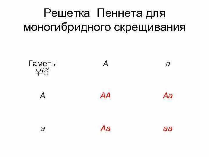 Гаметы образуемые при моногибридном скрещивании. Таблица дигибридного скрещивания решетка Пеннета. Решетка Пеннета для моногибридного скрещивания. Решетка Пеннета для моногибридного. Решетка Пеннета дигибридное скрещивание.