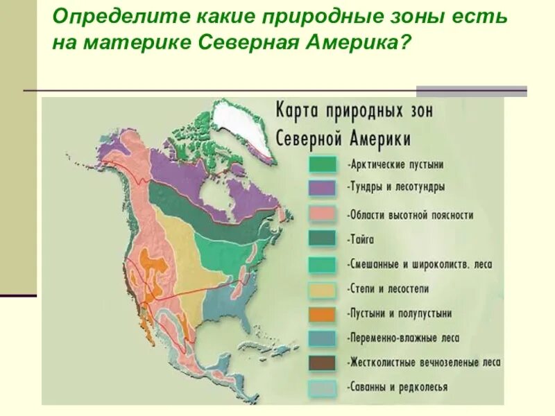 Природные зоны Северной Америки. Природные зоны Северной Америки растения. Природные зоны Северной Америки и России. Карта природных зон Северной Америки. Заполнить таблицу природные зоны северной америки