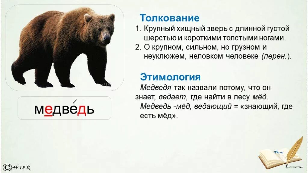 Предложение со словом зверь. Происхождение слова медведь. Этимология слова медведь. Просхождениеслова медведь. Словарное слово медведь.