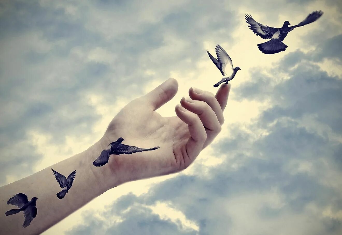 Make me a bird