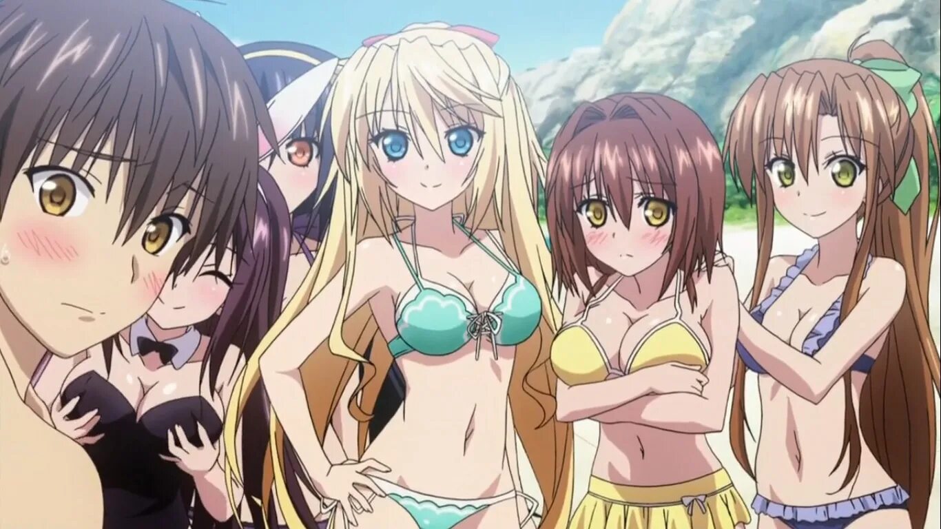 Эччи гарем. Absolute Duo гарем.