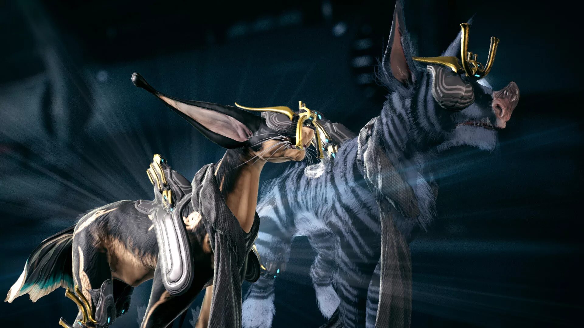 Кубрау warframe. Смита кават варфрейм. warframe кават. кубрау варфрейм. ракса кубрау.