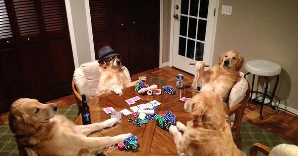 Прикольно поиграли. Ограбление банка. Мемы про игры. Прикольно поиграли. Смешные настольные игры.