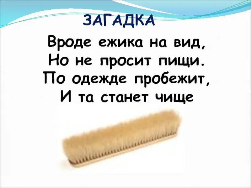 Почему надо умываться. Вроде Ёжика на вид. Загадка про ежика. Вроде Ёжика на вид но не просит пищи по одежде побежит она станет чище. Загадка по ежика.