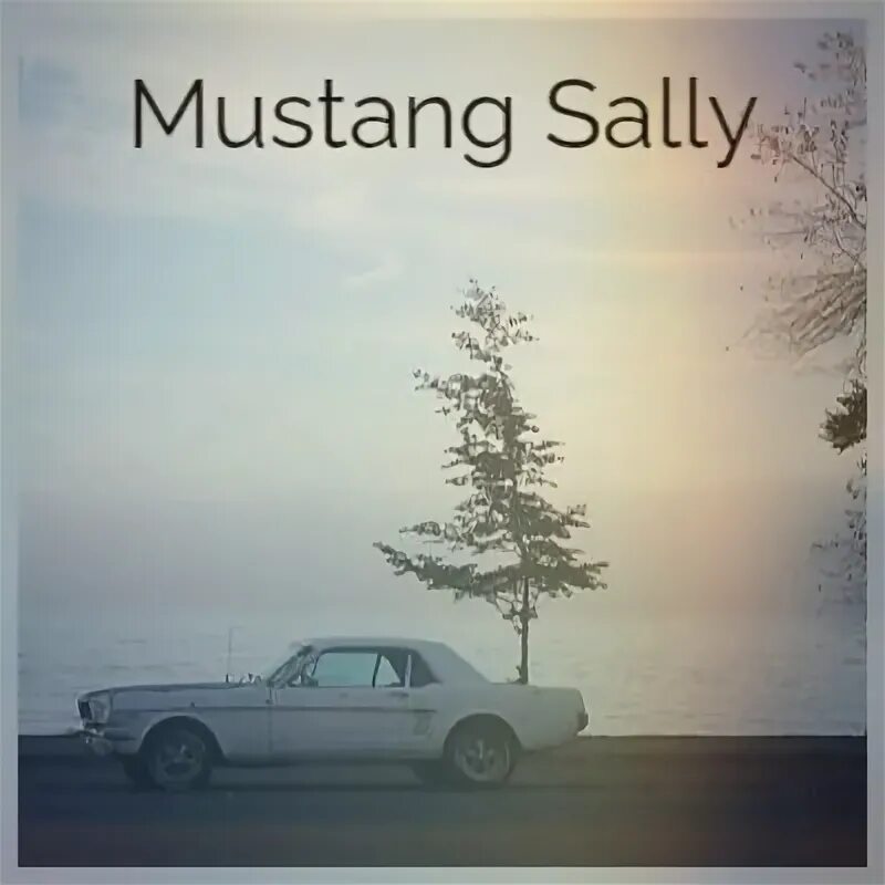 Mustang sally. Mustang 1967 exhaust. Форд мустанг второго поколения без фона. Mustang sally. Mustang sally.