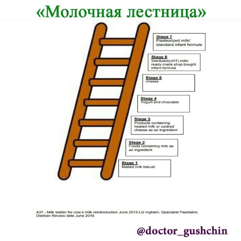 Ladder на русском