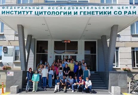 Новосибирская образовательная