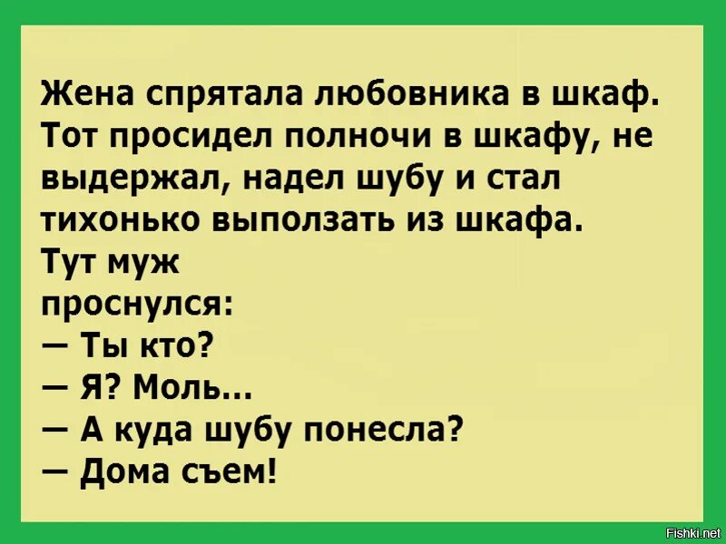 Анекдот про моль. Анекдот про моль в шкафу. Я моль анекдот. Анекдот про моль и шубу.