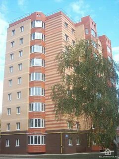 Дорожная 11