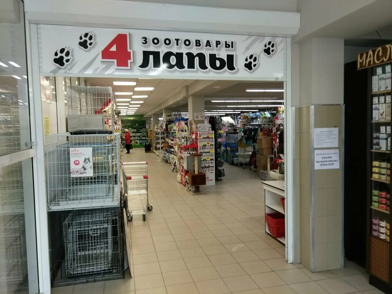 четыре лапы москва. зоомагазин четыре лапы краснодар. коминтерна 115 четыре лапы. четыре лапы магазин для животных спб. зоомагазин четыре лапы ярославль.