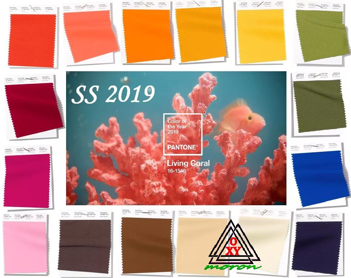 Цвет года. Pantone цвета по годам. Цвет года 2019 pantone. Пантон 2019 палитра. Пантон 2019 палитра.