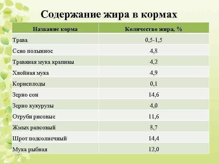 Назовите растительные корма. Липидная питательность кормов. В каких кормах содержится большое количество жира?. Содержание жира в кормах. Содержание жира в кормах у животных.