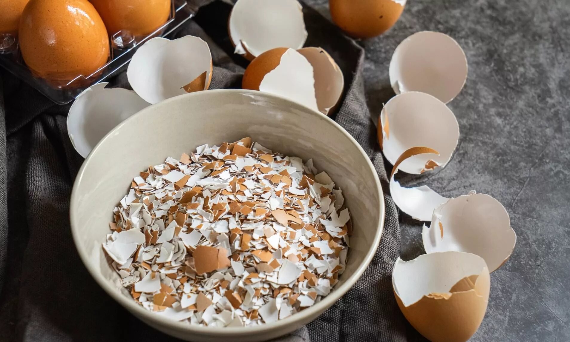 яичные скорлупки. скорлупа яиц. скорлупа яичная. в скорлупе. скорлупка от яйца.