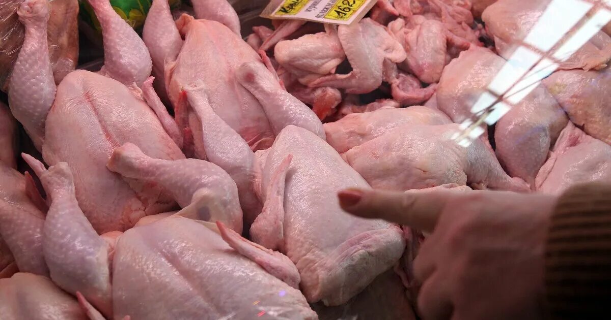 Помогите юэгую добыть мясо птицы 2. Производители мяса и птицы. Производители куриного мяса. Производители мяса птицы мяса. Производители кур.